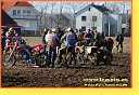 Modiice 19.3.2005