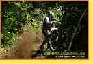 mseno_016