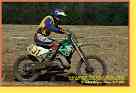 mseno_435