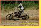 mseno_537