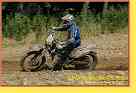 mseno_542