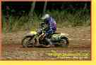 mseno_563