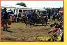mseno_594