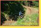 mseno_605