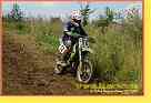 mseno_135