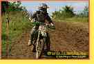 mseno_145