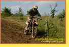mseno_146