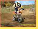 stoky031