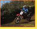 stoky155