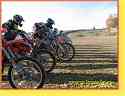 stoky164