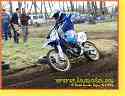 boz_203