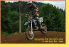 stoky137