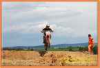vicenice_0200 