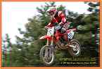 vicenice_0213 