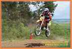 vicenice_0611 