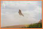 vicenice_0938 