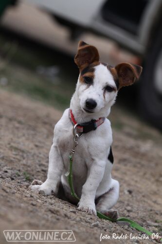 Meteor Cup Vranov u Brna 2009